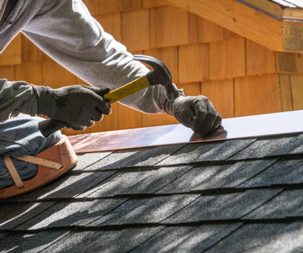 Roof Gutter Cleaning in Savage, MN